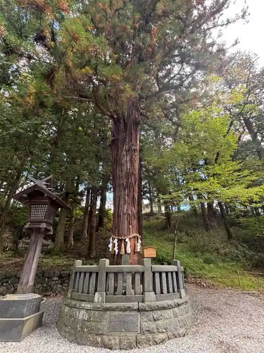 諏訪大社下社春宮(長野県)