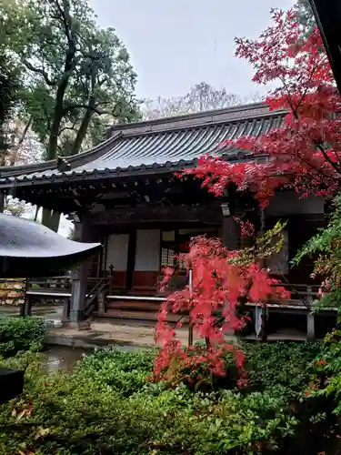 妙法寺(東京都)
