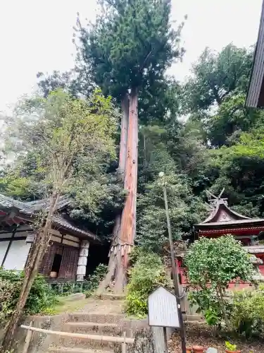 宇太水分神社(奈良県)