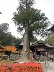 北口本宮冨士浅間神社(山梨県)