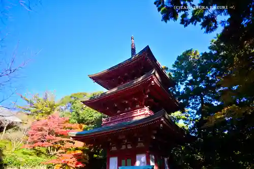 目の霊山　油山寺(静岡県)