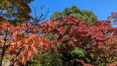 勧修寺(京都府)
