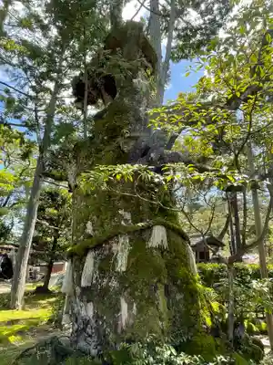 智恩寺(京都府)
