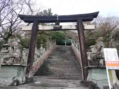 金刀比羅神社の{uncategorized: "未分類", other: "その他", undefined: "問題あり", building: "その他建物", grave: "お墓", sacred_gate: "鳥居", guardian: "狛犬", statue: "像", buddha: "仏像", history: "歴史", nature: "自然", garden: "庭園", animal: "動物", pagoda: "塔", temizu: "手水舎", mountain_gate: "山門・神門", sanctuary: "本殿・本堂", subordinate: "末社・摂社", art: "芸術", scenery: "景色", jizo: "地蔵", ema: "絵馬", goshuin: "御朱印", omikuji: "おみくじ", items: "授与品その他", amulet: "お守り", goshuincho: "御朱印帳", eats: "食事", festival: "お祭り", votive_dance: "神楽", shichigosan: "七五三参", wedding: "結婚式", experience: "体験その他", initially: "初詣", around: "周辺", anti_infection: "感染症対策"}