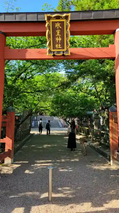 氷室神社の{uncategorized: "未分類", other: "その他", undefined: "問題あり", building: "その他建物", grave: "お墓", sacred_gate: "鳥居", guardian: "狛犬", statue: "像", buddha: "仏像", history: "歴史", nature: "自然", garden: "庭園", animal: "動物", pagoda: "塔", temizu: "手水舎", mountain_gate: "山門・神門", sanctuary: "本殿・本堂", subordinate: "末社・摂社", art: "芸術", scenery: "景色", jizo: "地蔵", ema: "絵馬", goshuin: "御朱印", omikuji: "おみくじ", items: "授与品その他", amulet: "お守り", goshuincho: "御朱印帳", eats: "食事", festival: "お祭り", votive_dance: "神楽", shichigosan: "七五三参", wedding: "結婚式", experience: "体験その他", initially: "初詣", around: "周辺", anti_infection: "感染症対策"}
