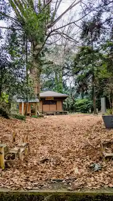 薬師堂厳島神社の本殿・本堂