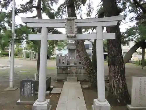 平塚三嶋神社の鳥居