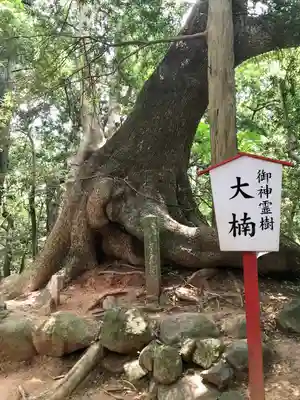 住吉神社(山口県)