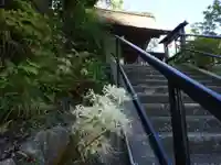 泥牛庵のその他建物