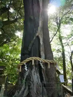常陸國總社宮(茨城県)