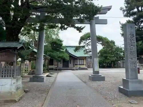 杉杜白髭神社の鳥居