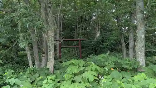 北更岸神社の鳥居