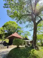 長徳寺の建物その他