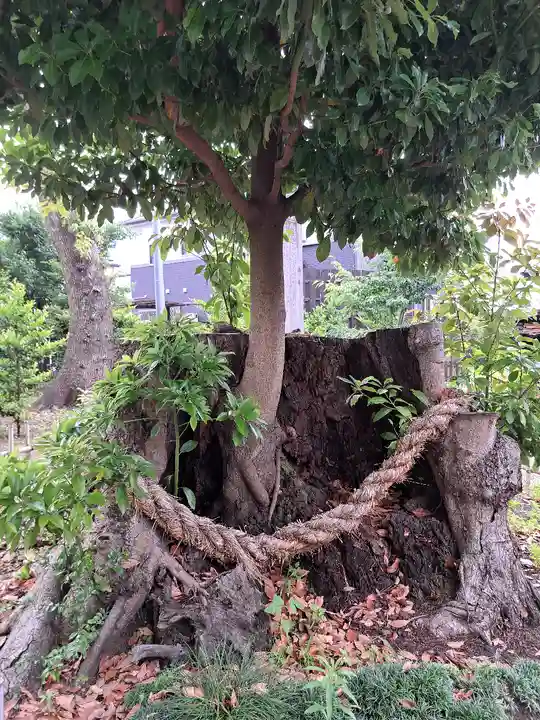 日々神社(神奈川県)