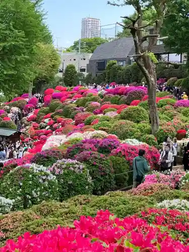 根津神社(東京都)