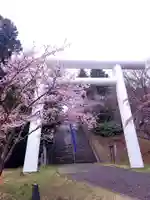 土津神社|こどもと出世の神さまの鳥居
