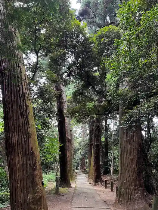 日吉神社の建物その他