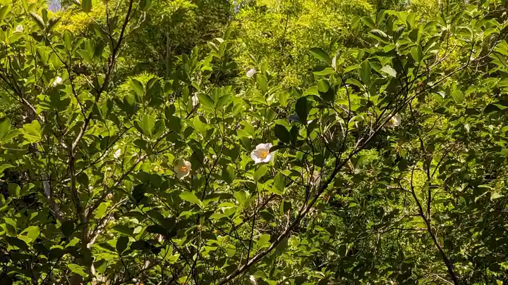 東林院(京都府)