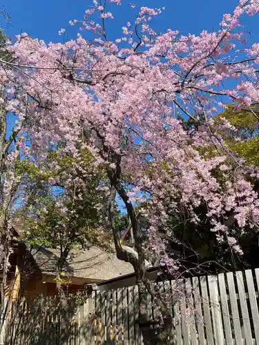 伊勢山皇大神宮の自然