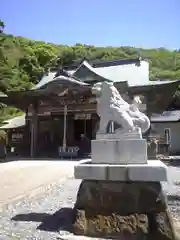 住吉神社の狛犬