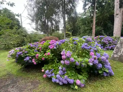 有珠善光寺(北海道)