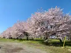 船玉神社(茨城県)