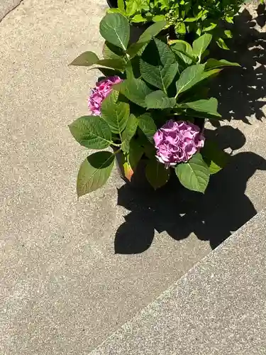 能護寺(埼玉県)