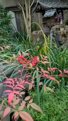 宝蔵寺(京都府)