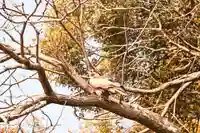 等覚寺(愛媛県)