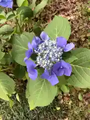 猿投神社の自然