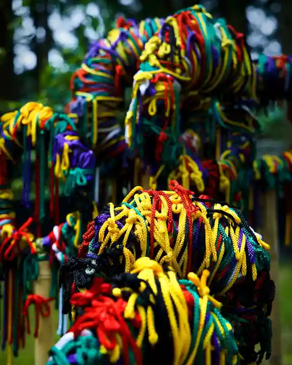 守りの神 藤基神社(新潟県)