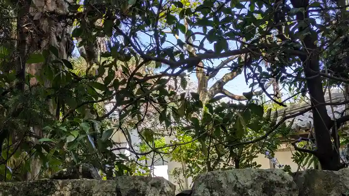 行泉院(滋賀県)