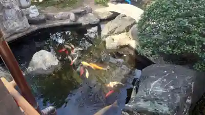 尾張猿田彦神社(愛知県)