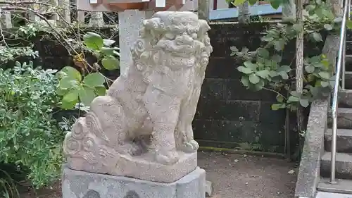 天津神明宮の狛犬