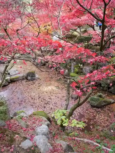 洞窟観音・徳明園・山徳記念館の景色