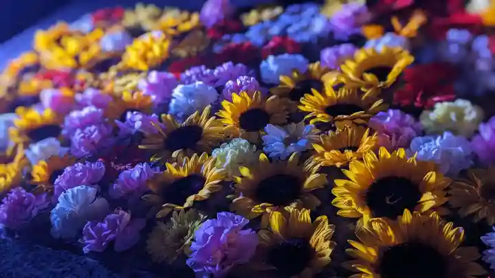 金蛇水神社(宮城県)