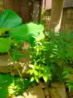 専明寺(奈良県)