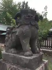 札幌護國神社の狛犬