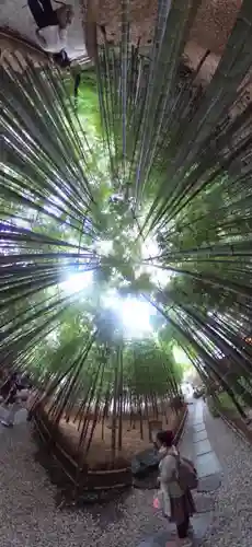 報国寺(神奈川県)