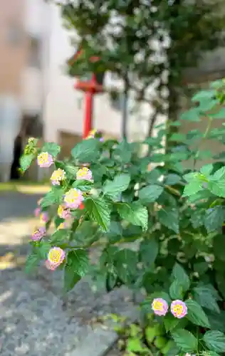 江島杉山神社の自然