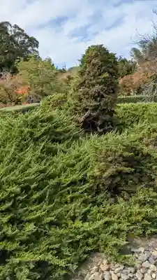 勧修寺(京都府)