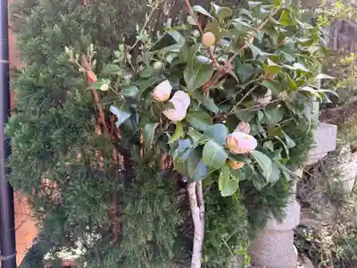 永澤寺(兵庫県)