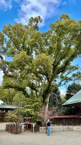 和泉國一之宮　大鳥大社(大阪府)