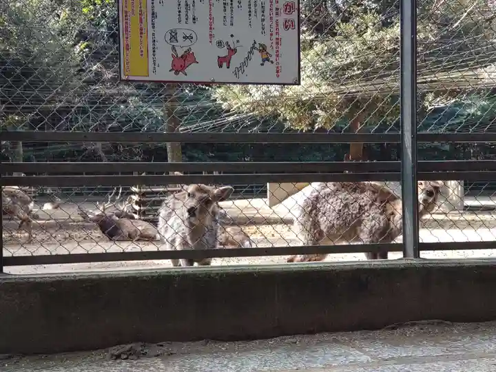 鹿島神宮(茨城県)