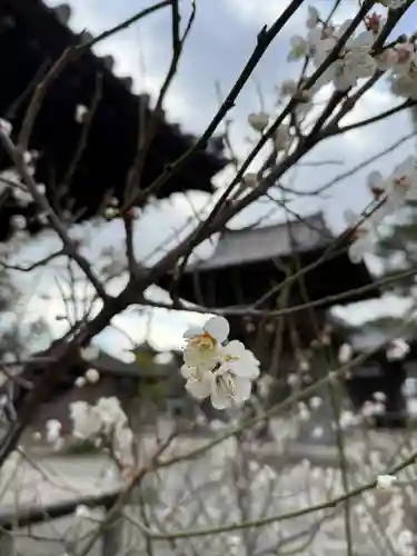 鶴林寺(兵庫県)