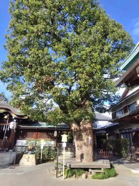 晴明神社の{uncategorized: "未分類", other: "その他", undefined: "問題あり", building: "その他建物", grave: "お墓", sacred_gate: "鳥居", guardian: "狛犬", statue: "像", buddha: "仏像", history: "歴史", nature: "自然", garden: "庭園", animal: "動物", pagoda: "塔", temizu: "手水舎", mountain_gate: "山門・神門", sanctuary: "本殿・本堂", subordinate: "末社・摂社", art: "芸術", scenery: "景色", jizo: "地蔵", ema: "絵馬", goshuin: "御朱印", omikuji: "おみくじ", items: "授与品その他", amulet: "お守り", goshuincho: "御朱印帳", eats: "食事", festival: "お祭り", votive_dance: "神楽", shichigosan: "七五三参", wedding: "結婚式", experience: "体験その他", initially: "初詣", around: "周辺", anti_infection: "感染症対策"}