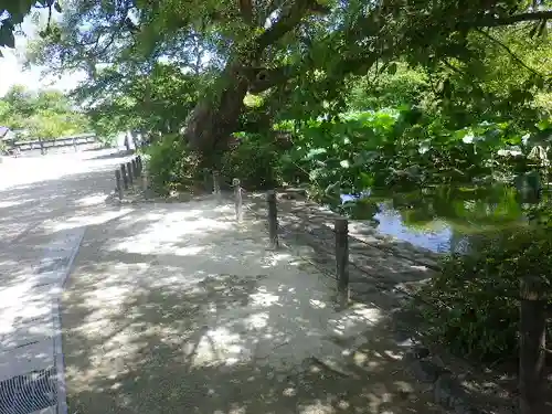 鶴岡八幡宮の庭園