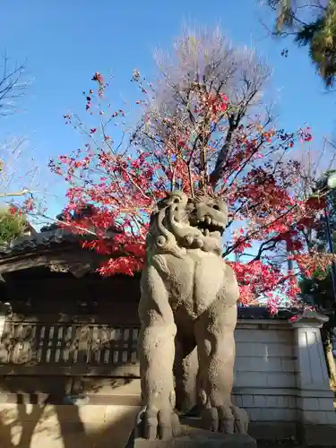 妙法寺(東京都)