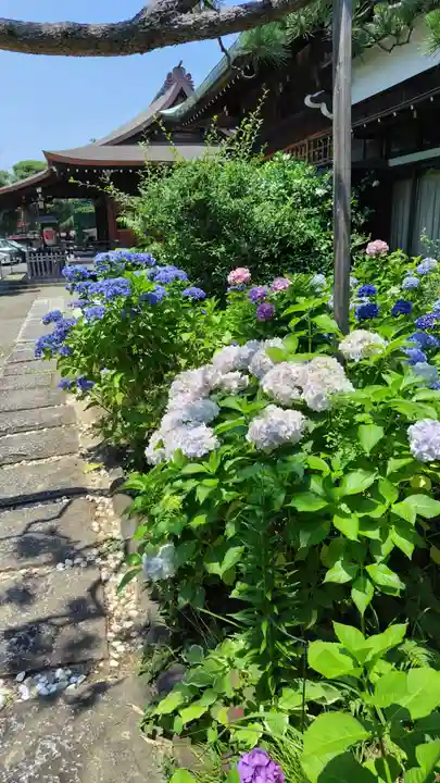 本郷氷川神社(東京都)