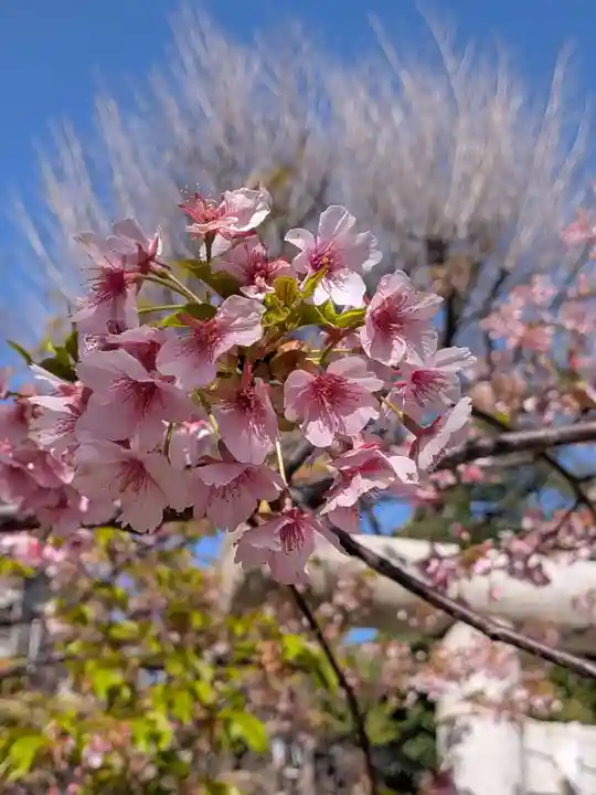 鳩森八幡神社(東京都)